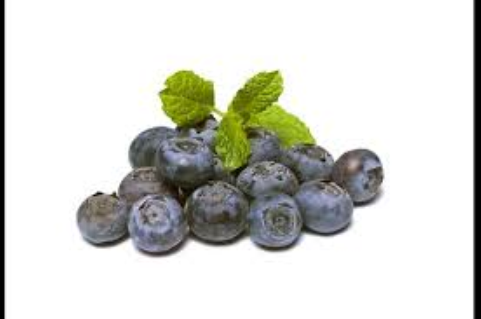 EVERGREEN BLUEBERRY 125G